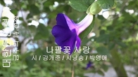 [詩가 있는 아침] 나팔꽃 사랑