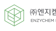 엔지켐생명과학, 타깃링크테라퓨틱스 ADC · DAC 치료제 개발 본격화