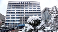 [포토뉴스] 서울세관에 내린 '첫 눈'...때이른 하얀 눈에 놀란 '단풍나무'