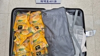 인천공항세관, '건망고 속에 대마초가?'…마약 밀반입 태국인 2명 구속