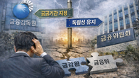 [이슈분석] 우군 없는 금감원, 갈등만 누적…공공기관 지정 이번 주 판가름