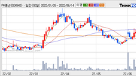 PN풍년, 주가 +10.85% 상승 중... 거래량 급증