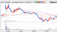한국가구, 주가 +6.62% 상승 중... 거래량 급증