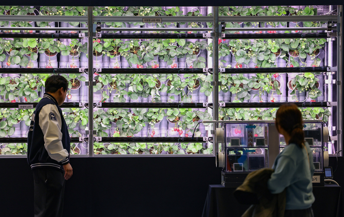 농식품부·코트라, 중국 청두-우한-칭다오서 K스마트팜 로드쇼