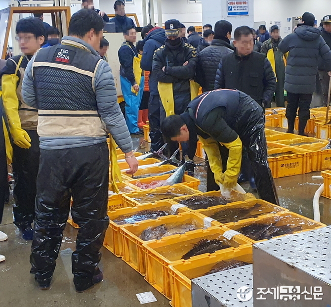 โ์ ์ ๋๊ฐ ์์ธโ ๋๋งค์๋ ํ ๋ด๋๋ ๋คโฆโ๊ฒจ์ธ ํ๊ฐโ ๋ฐฉ์ด์ ๋ฐฐ์